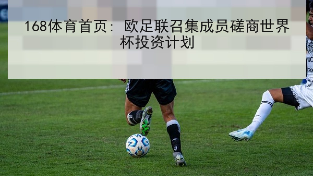 168体育首页: 欧足联召集成员磋商世界杯投资计划